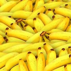 绿色食品-有机香蕉