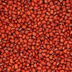 绿色食品-有机红豆